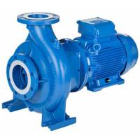 Центробежный моноблочный насос LOWARA NSCS 65-200/300/W25VCC4 (101841750)